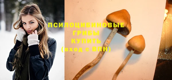 круглые Новозыбков
