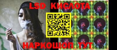 индика Моздок