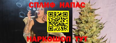 индика Моздок