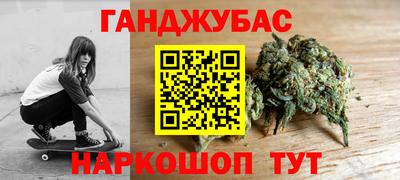 индика Нальчик