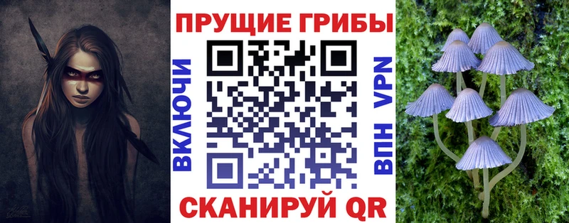 Псилоцибиновые грибы мицелий  kraken   Соль-Илецк 
