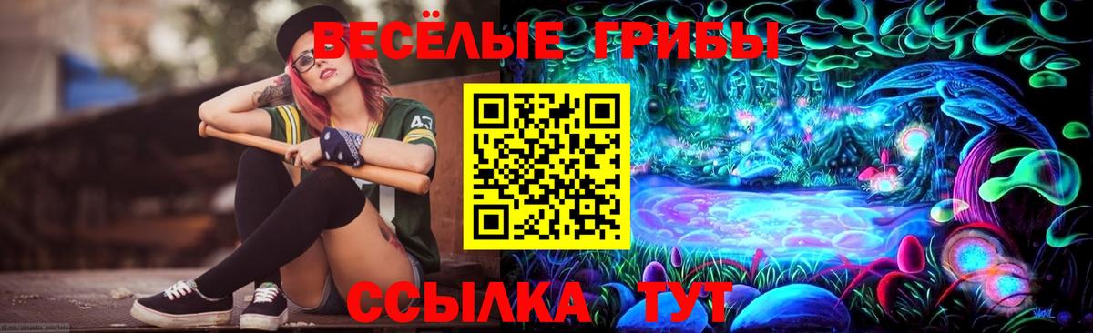 Псилоцибиновые грибы Cubensis Соль-Илецк